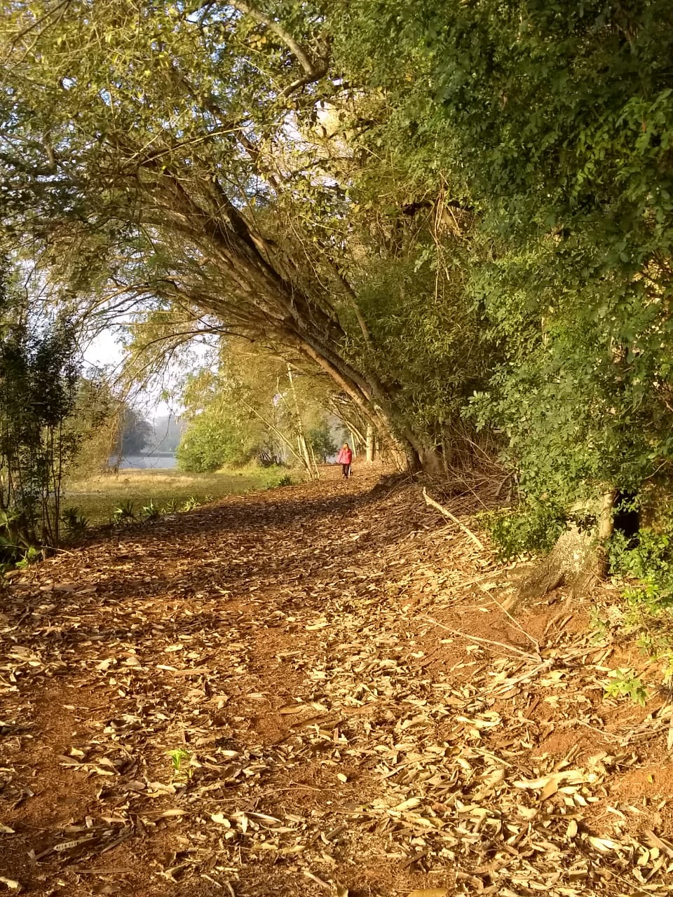 Multiplas Dimensões 1